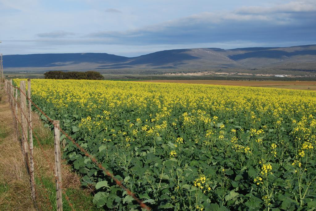 Anna'S Farm Stay Slangrivier Екстер'єр фото